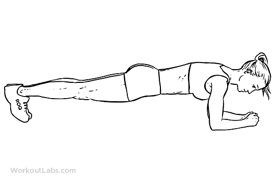 Plank_F_WorkoutLabs